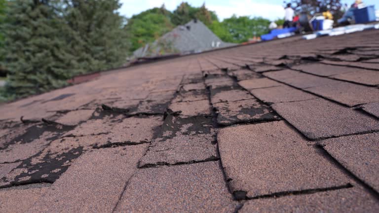 Best Storm Damage Roof Repair  in Middletown, MD