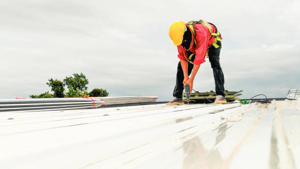 Best Solar Panel Roofing Installation  in Middletown, MD