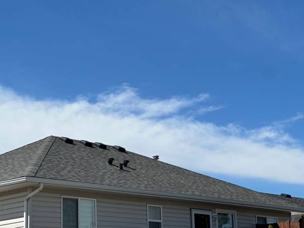 Best Skylights  in Middletown, MD